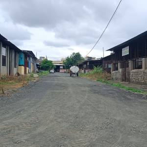 purva_yarda_adata_dukane_va_raste_original